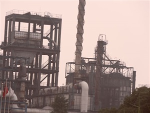 優(yōu)秀企業(yè)獎1.JPG
